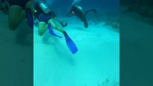 Ukulhas Maldives, Diving is FUN ?