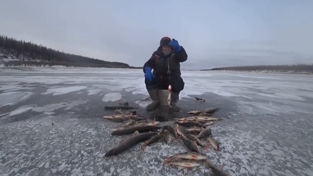 Перволёдка 2019! Yakutia Якутия смотреть онлайн