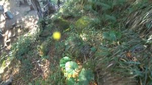 Жесткая игра!Красные всех порвали!#пейнтбол #paintball#игра #спорт #тактика #тактическийпейнтбол