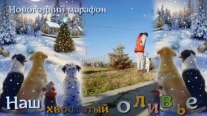 Мой монтаж видео / Новогодний марафон 2022_23