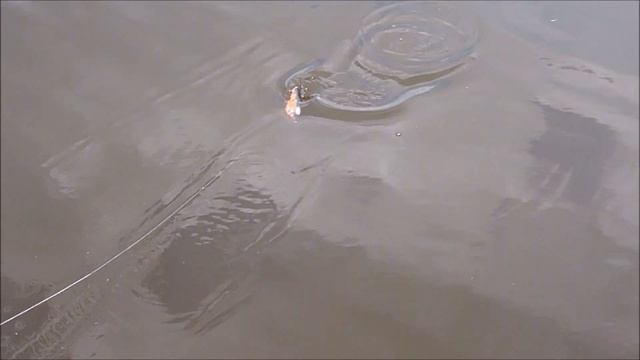 Jerkbait Palych Godzila Bream смотреть онлайн