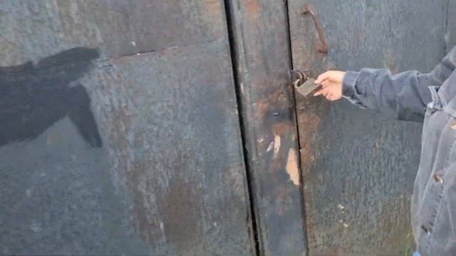 Нашли большой гриб в лесу! Огромные грибы! Большой красный гриб!