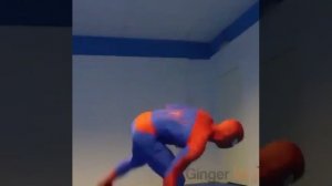 Тренировка человека паука