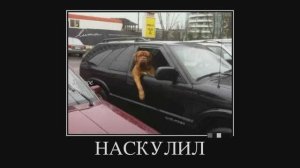 Приколы, юмор, подборка на тему "Так и живем 2"