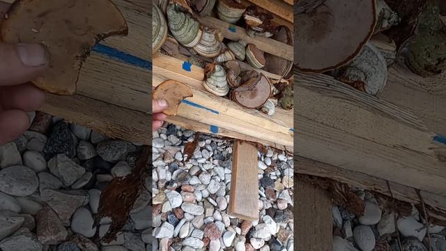 топливо для дымаря. смотреть онлайн