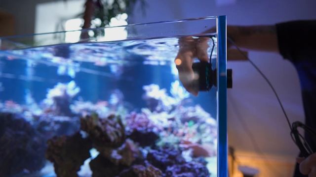 NERO 5 AI Обзор помпы течения \\ Сергей Шпак смотреть онлайн