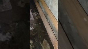 ⁉️Сварщик не Качественно со Сварил Трубу центрального отопления в подвале течет из под шва