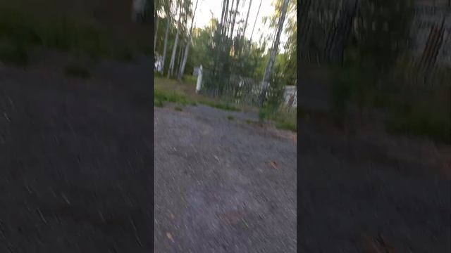 Заброшенный пионерский лагерь "Берёзка " Что мы обнаружили... смотреть онлайн