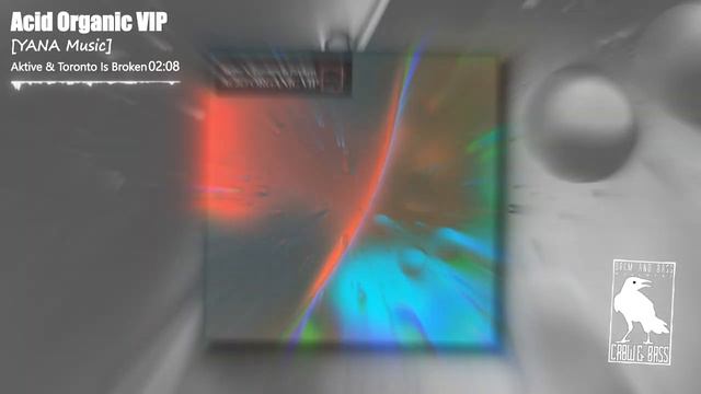 Aktive & Toronto Is Broken - Acid Organic VIP