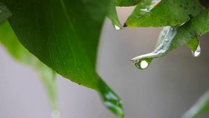 МОЛИТВЫ И ЗАГОВОРЫ НА ИСПОЛНЕНИЕ ЖЕЛАНИЙ