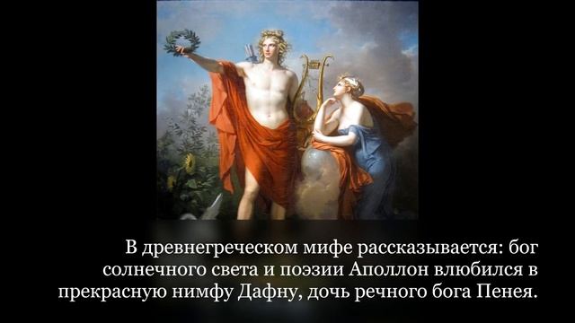 ЛАВРОВЫЙ ЛИСТ ДЛЯ ИСПОЛНЕНИЯ ЖЕЛАНИЙ