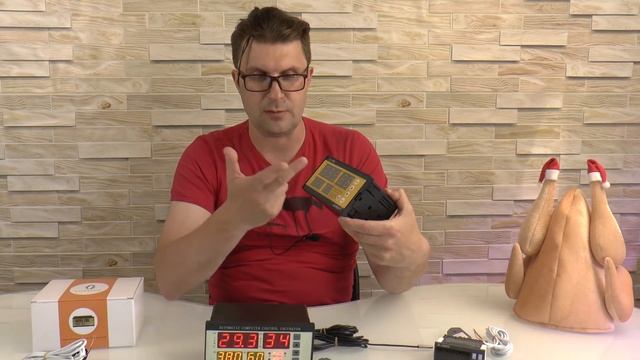 Контроллер для инкубатора XM18: все ЗА и ПРОТИВ (особенности и глюки)