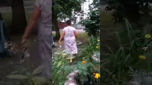 злая бабка, не разрешает играть детям во дворе!