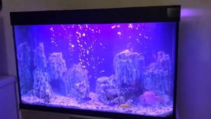 Камень Миотис в аквариуме/наполнитель для аквариума, дом для рыб, камень Миотис как вариант.