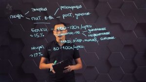 Значение углеводов, белков и жиров в продуктах питания. 7 класс.