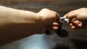 ДУБ ИЗ ЖЕЛУДЯ? ХИТРЫЙ ОРЕХ. СЕМЯДОЛИ. OAK FROM AN ACORN