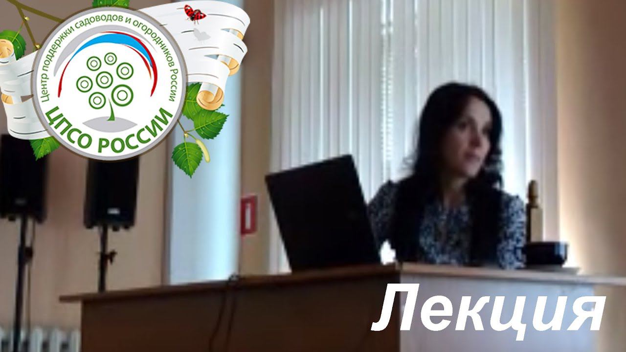 Технология возделывания земляники садовой на приусадебном участке.