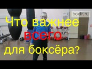 Что важнее для боксёра - скорость, сила, выносливость?