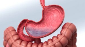 Можно ли пить минералку каждый день? Сколько минеральной воды можно пить в день?