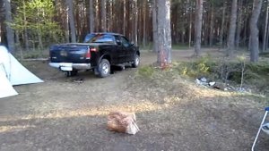 Селигер.Ловля красноперки!"