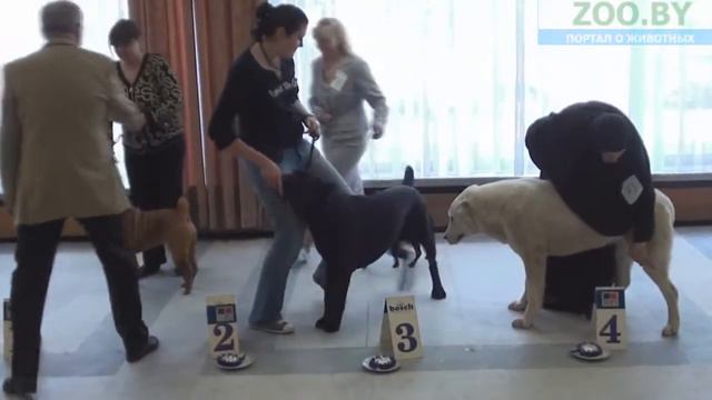 FCI -2 смотреть онлайн