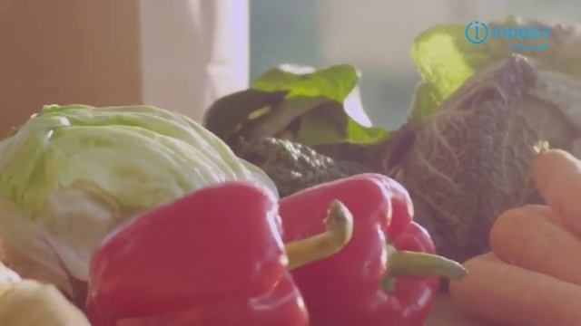 Газовая плита Indesit IS5G0PMW E смотреть онлайн