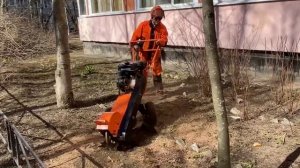 Дробление пней/дробилка пней, корчевание.