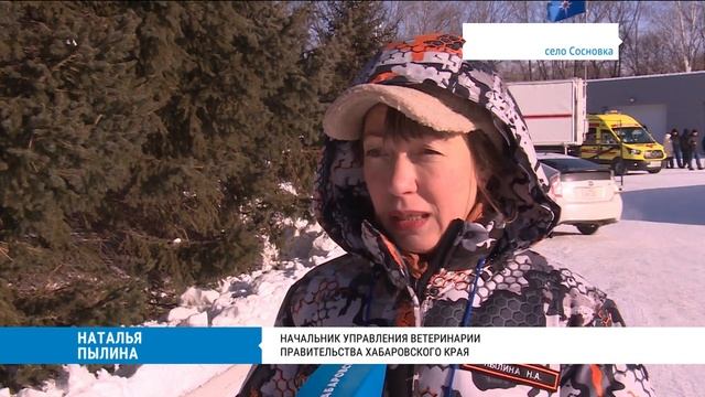 Учения по ликвидации птичьего гриппа прошли в селе Сосновка