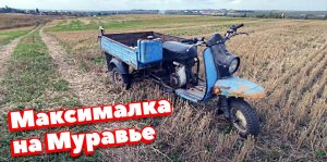 МУРАВЕЙ ВАЛИТ НА РОДНОМ ДВИГАТЕЛЕ. [ЧАСТЬ2]