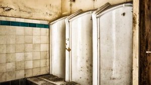 Закон о массовых захоронениях В России | впервые утверждён стандарт срочного захоронения трупов
