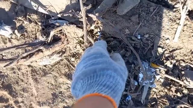 В поисках сокровищ на свалке . смотреть онлайн