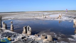 Солёное озеро Веселовка. КУПАЕМСЯ на Черном МОРЕ | Дельфины опять рядом