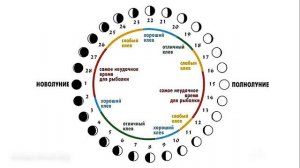 Лунный календарь рыболова на 2023 год ? / #Рыбалка