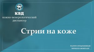 958  Стрии на коже
