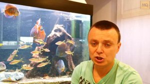 Eheim Pickup 200 обзор внутреннего фильтра для аквариума