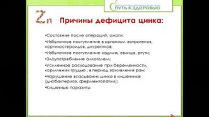 Цинк! Самый полный обзор в интернете   Профессор В А  Дадали 720p