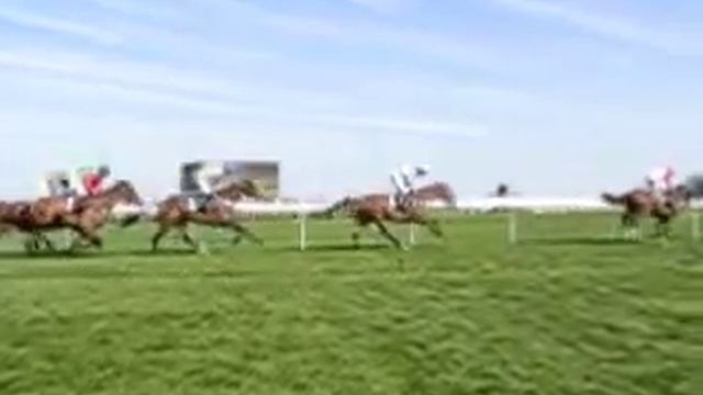 Slow Motion смотреть онлайн