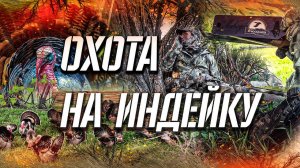 TURKEY HUNTING 2021 /Охота на дикую индейку с манками и чучелами /Охота в межсезонье