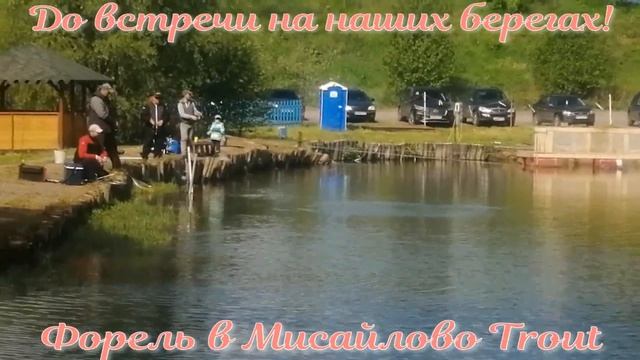 Мисайлово Trout. Отдыхаем. Ловим форель