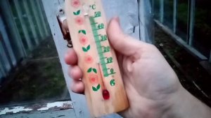 Неожиданно: на сколько температура в теплице выше чем на улице. Реальные замеры в разное время.