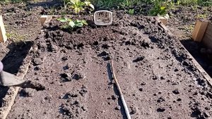 Новые грядки для клубники