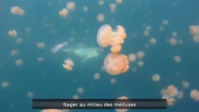 Лучшие приколы №2 приколы смотреть онлайн