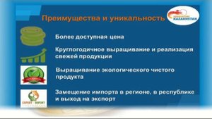 #saby.kz2017 Ферма по выращиванию королевских креветок и австралийских раков