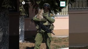Военный приручил украинского кота