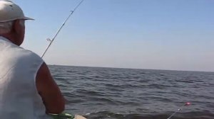 Рыбалка на Днепро- Бугском лимане  07 2010  Николаев (карась)