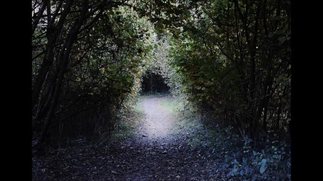 Bone Grinder смотреть онлайн