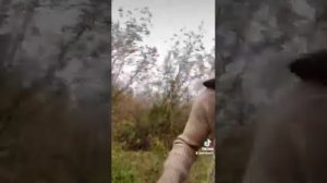 Молой (1-2 ) Серей