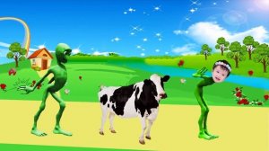 картинки домашних животных для детей скачать - травоядные животные для детей | BonBi TV