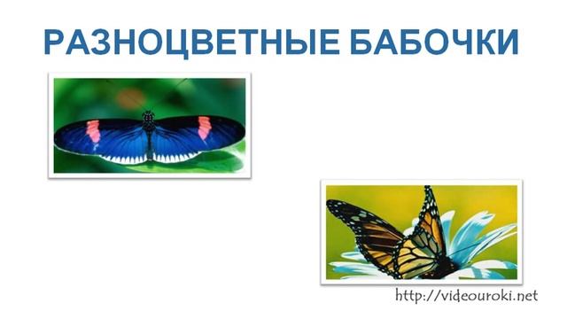 Рисование по представлению «Бабочка» смотреть онлайн