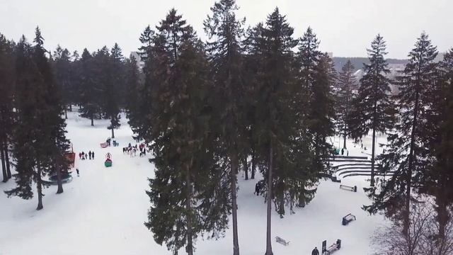 Снегокаты - это современный и увлекательный вид зимних развлечений!